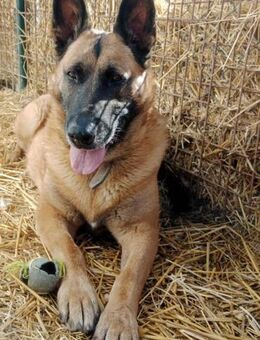 DORA - echte Beziehung erfahren dürfen - Overath