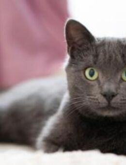 Thomas in Bulgarien - Ingolstadt