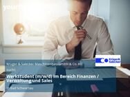 Werkstudent (m/w/d) im Bereich Finanzen / Verwaltung und Sales - Bad Schwartau