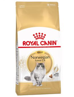 Sparpaket Royal Canin 2 x Großgebinde - Norwegische Waldkatze (2 x 10 kg)