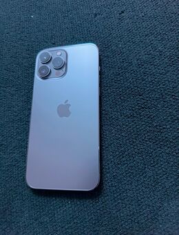 iPhone 13 Pro Max 256GB „Sehr Gut“ - Chemnitz