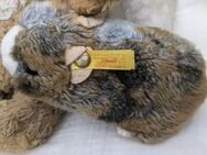 Konvolut Hund (no name)Hamster (Steiff KF 053702) Teddy Cosy (Steiff KF 5355/26) - Markdorf