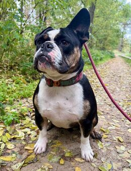 OEB Rüde - Zahna-Elster Zentrum