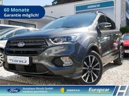 Ford Kuga ST-Line 1.5 EcoBoost Navi Bi-Xenon CarPlay - Schwäbisch Hall Zentrum