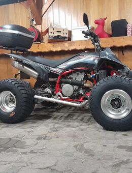 Gasgas hp wild 450 Lof 53 PS - Villingen-Schwenningen