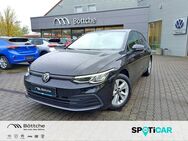 VW Golf, 1.5 TSI Life, Jahr 2020 - Bad Belzig