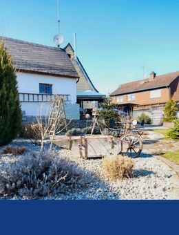 Sanierte Wohlfühloase im Naturpark - ruhiges Einfamilienhaus mit Kamin & großer Terrasse - Kirchenlamitz
