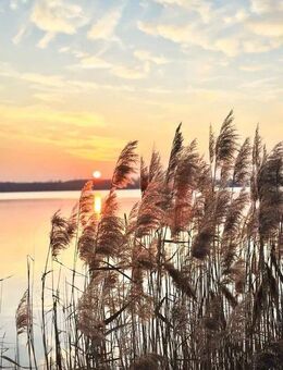 * Markkleeberg * NEUBAU * Wärmepumpe A+ * Terrasse * SEE um die ECKE * Stellplatz * - Markkleeberg