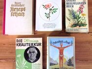 Bücher (5 stück) Alternative Heilmethode zb Heilplanten, Kräuter , Gesundheit usw - Kranenburg (Nordrhein-Westfalen)