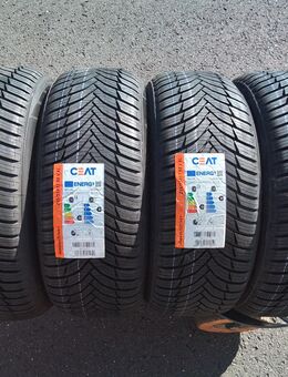 4 Neue Allwetterreifen Ganzjahresreifen G 215 55 17 98 V Ceat 330,- Euro incl Montage. - Sprendlingen