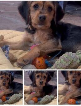 Magda ist umwerfend - Bergkirchen