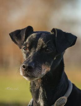 Bodi - topfit und kinderlieb - Salzwedel (Hansestadt) Zentrum