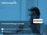 IT Financial Manager (m/w/d) - Meerbusch