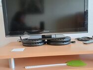 Fernseher Panasonic - Großniedesheim