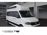 VW California, 2.0 TDI Grand California 600, Jahr 2024 - Wolfsburg