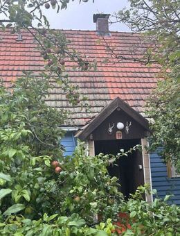 Wochenendhäuschen am Ortsrand! - Zeitlofs