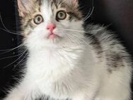 Guerlain - was will Frau mehr? - Kirchheim (München)
