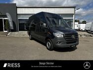 Mercedes Sprinter, 317 KA L2H2 MBUX, Jahr 2021 - Rottweil