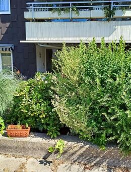 Vermietete Wohnung mit Terrasse inmitten der Wattenscheider Innenstadt - Bochum