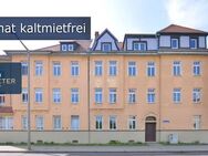 NEU: Einzigartige Wohnung mit Gemütlichkeitsgarantie! - Leipzig