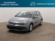 VW Golf, 2.0 TDI Life 85kW, Jahr 2021 - Braunschweig