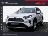 Toyota RAV 4, 2.5 l Hybrid Business Edition, Jahr 2019 - Bergisch Gladbach