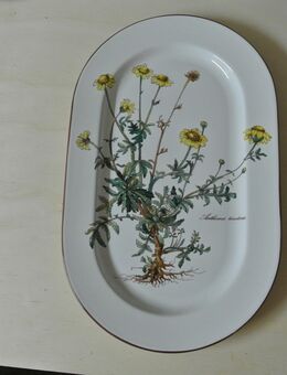 V & B Botanica Fleischplatte Mittel - Alfter