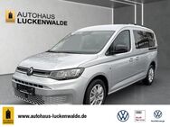 VW Caddy, 1.5 TSI Maxi Kombi Life, Jahr 2022 - Luckenwalde