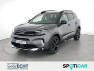 Citroën C5, Aircross ë-Series, Jahr 2023 - Holzminden