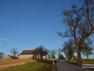 Vierseitenhof mit Nebengebäuden - Schlotheim