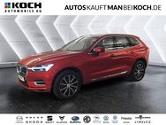 Volvo XC60, T8 TE AWD Inscription, Jahr 2019 - Berlin