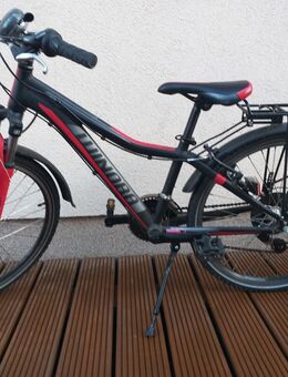 Fahrrad, City- Bikes für Knaben 24ér - Rostock