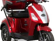 Rolektro Elektromobil E-Trike 15 V.2, 1000 W, 15 km/h, (mit Topcase)