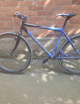 Fahrrad mtb 26 kult LX Singlespeed Spezialized - Berlin Charlottenburg-Wilmersdorf