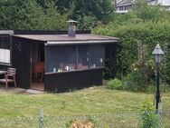 Wer hilft mir als Hobby mit mir zusammen bei meinen Vater im Garten? Party als Dankeschön. - Essen
