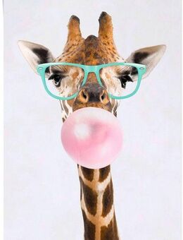 Reinders! Poster Poster Funky Giraffe, Giraffen (1 St)