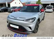 Smart Brabus 4x4 Panorama Beats Soundsystem ACC 360 - Mittelstetten