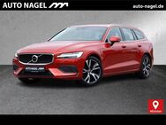 Volvo V60, T6 Twin Engine AWD Momentum Pro, Jahr 2020 - Münster