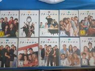 Friends die komplette Serie 41 DVDs Neu - Essen
