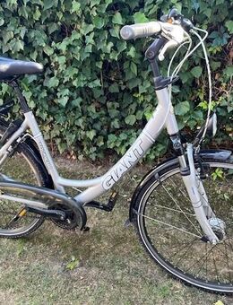 Damen Fahrrad GIANT Tourer (28 Zoll) - Erkelenz