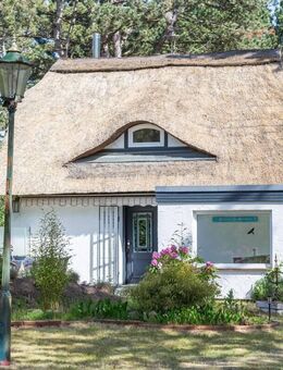 Idylle unter Reet - nur wenige Schritte bis zum Ostseestrand von Heidkate - Wisch (Landkreis Plön)