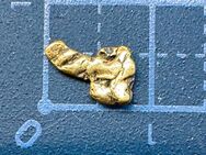 Spezielle Form Goldnugget Silverado Mine Alaska Sammlerstück - Köln