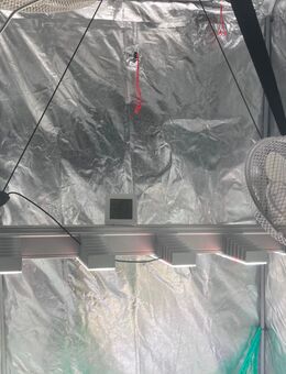 Sanlight evo 5 120 340watt zu verkaufen - Heinsberg Zentrum