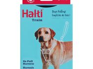 Halti Harness No Pull Trainingsgeschirr - Größe M: z.B. Retriever, Border Collie