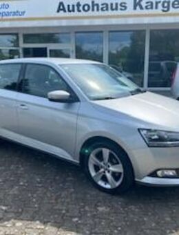 Skoda Fabia Cool Plus Klima, SHZG, LM, ... - Guben