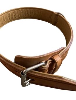 Halsband für große Hunde - Grafenrheinfeld