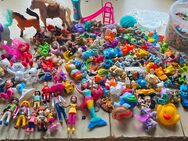 Kinderbücher und Spielfiguren - Waltrop