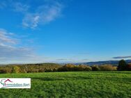 NÄHE SAARBURG: BAUGRUNDSTÜCK IN NATURNAHER LAGE! - Kastel-Staadt