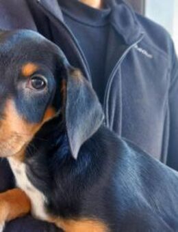 Olga möchte ihre Familie finden - Neuss