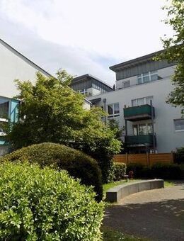Sanierte 2-Zimmer-Wohnung mit Galerie - Ihr neues Zuhause mit Charme! - Bonn